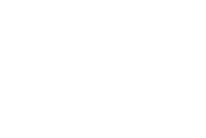 Quickness Surely Security 